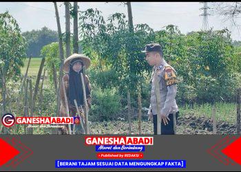 Giat Tanam Cabai, Bhabinkamtibmas Polsek Tarik Polresta Sidoarjo Ajak Warga Tak Biarkan Lahan Kosong