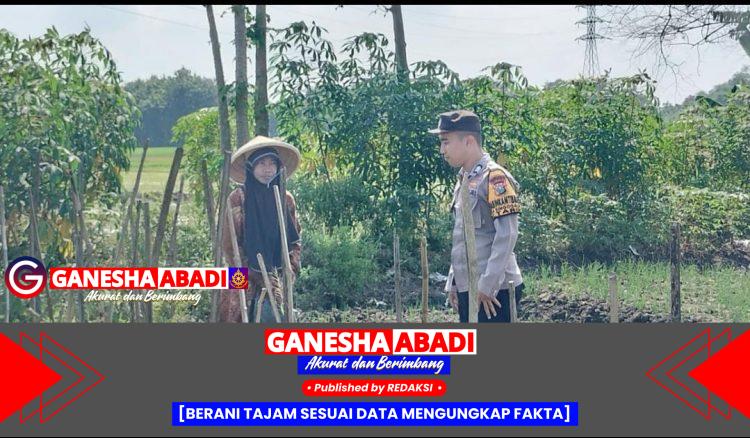 Giat Tanam Cabai, Bhabinkamtibmas Polsek Tarik Polresta Sidoarjo Ajak Warga Tak Biarkan Lahan Kosong
