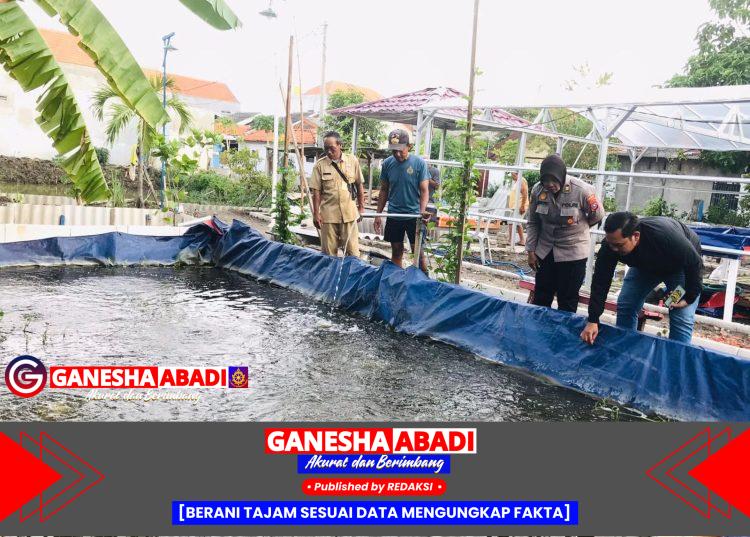 Kanit Binmas Polsek Gedangan Tinjau Budidaya Ikan Nila di Ketajen Dukung Swasembada Pangan