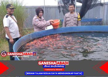 Kanit Binmas Polsek Gedangan dan Bhabinkamtibmas Desa Ganting Tinjau Budidaya Ikan Nila Merah Dukung Program Asta Cita Presiden Prabowo
