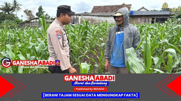 Bhabinkamtibmas Aipda Hartono Dampingi Petani Jagung Wujudkan Swasembada Pangan di Desa Prasung