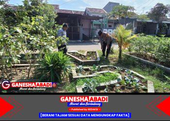 Wujudkan Asta Cita Aiptu Sulaiman Motivasi Petani Pokcoy Bangkitkan Ekonomi Desa Buncitan 