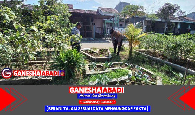 Wujudkan Asta Cita Aiptu Sulaiman Motivasi Petani Pokcoy Bangkitkan Ekonomi Desa Buncitan