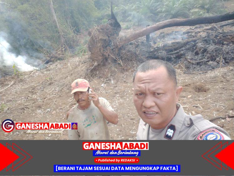 Program Sekolah Lima Hari di Sumut Disambut Positif, Ini Kata Para Ahli