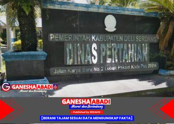 Arogansi Oknum Pejabat Pertanian Cemari Nama Bupati Deli Serdang