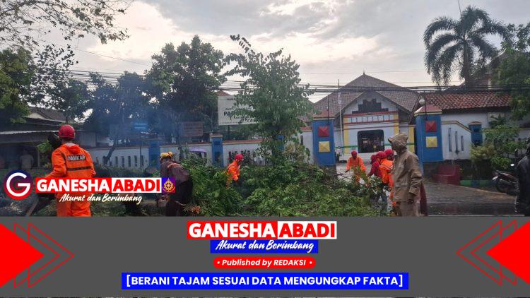 Sinergi Polres Boyolali, Stakeholder, dan Warga Evakuasi Pohon Tumbang di Boyolali Kota