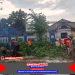 Sinergi Polres Boyolali, Stakeholder, dan Warga Evakuasi Pohon Tumbang di Boyolali Kota