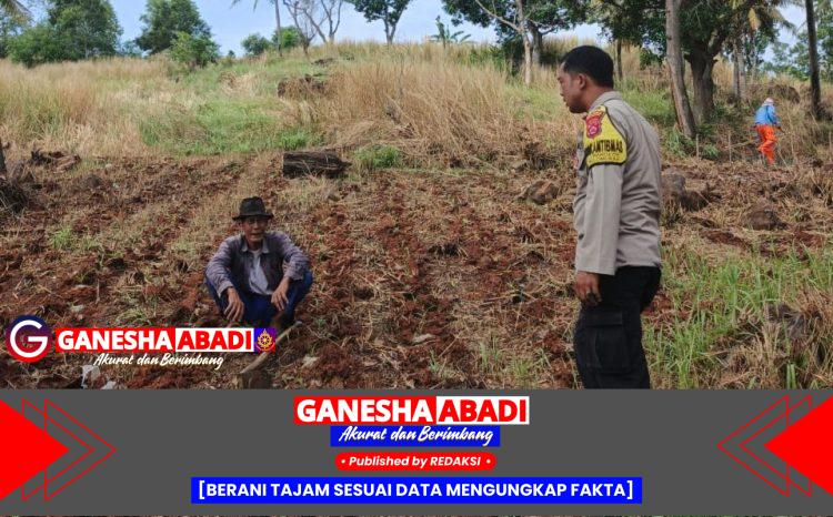 Tak kenal letih bhabinkamtibmas Lebakgede berkarya bersama Poktan Kelapa Baris