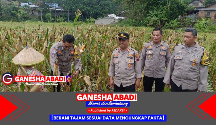 Polres Salatiga Gelar Panen Raya Jagung Kwartal III, Dukung Swasembada Pangan Nasional