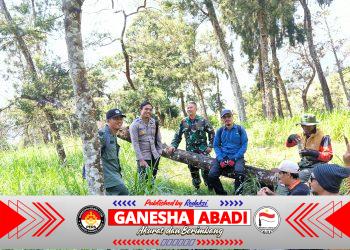 Patroli Gabungan di Lereng Merapi, TNI-Polri dan Petugas TNGM Cegah Karhutla di Musim Kemarau