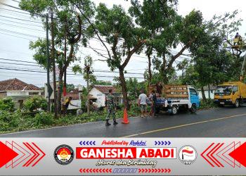 Babinsa Wonosobo Kawal Ketat Penebangan Pohon di Jalur Benculuk–Banyuwangi Demi Keselamatan Pengendara