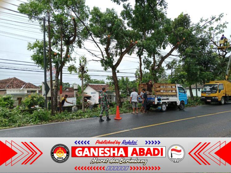 Babinsa Wonosobo Kawal Ketat Penebangan Pohon di Jalur Benculuk–Banyuwangi Demi Keselamatan Pengendara