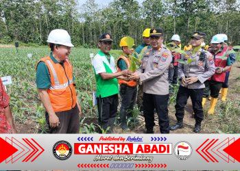 Perhutani KPH Banyuwangi Selatan Gelar Penanaman Bersama di Lahan 12 Hektare, Perkuat Kolaborasi dengan Masyarakat