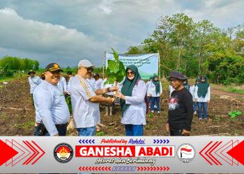 Perhutani Gandeng Babinsa dan Mahasiswa KKN Tanam Ribuan Bibit Jati di Banyuwangi Utara