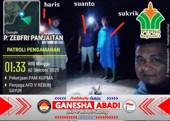 Dirut PTPN 4 Diminta Evaluasi Manajemen Gunung Pamela, Whistleblower Pencurian TBS di-PHK