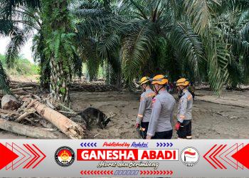 Den K9 Ditpolsatwa Baharkam Polri Berhasil Temukan Satu Korban Bencana Alam di Batang Toru, Sumatera Utara