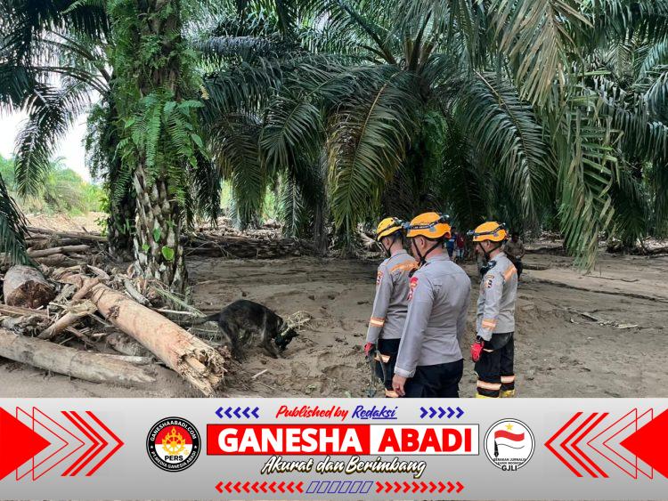 Den K9 Ditpolsatwa Baharkam Polri Berhasil Temukan Satu Korban Bencana Alam di Batang Toru, Sumatera Utara