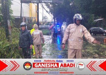 Babinsa, Bhabinkamtibmas dan BPBD Sigap Evakuasi Pohon Tumbang di Jalan Boyolali–Jatinom