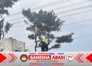 Aksi Cepat Polresta Pati! Pohon Raksasa Tumbang Lumpuhkan Jalan, PAMAPTA Hadir Setelah Laporan 110 Masuk!