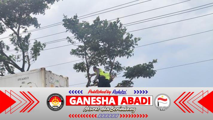 Aksi Cepat Polresta Pati! Pohon Raksasa Tumbang Lumpuhkan Jalan, PAMAPTA Hadir Setelah Laporan 110 Masuk!