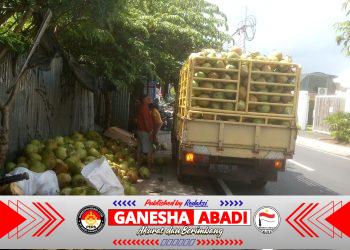 Bisnis Es Degan Semakin Menjanjikan, Pelaku Usaha di Tibubeneng Ungkap Potensi Besar dan Manfaatnya