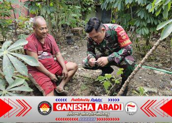 Babinsa Tipes Tingkatkan Ketahanan Pangan Melalui Pendampingan Warga