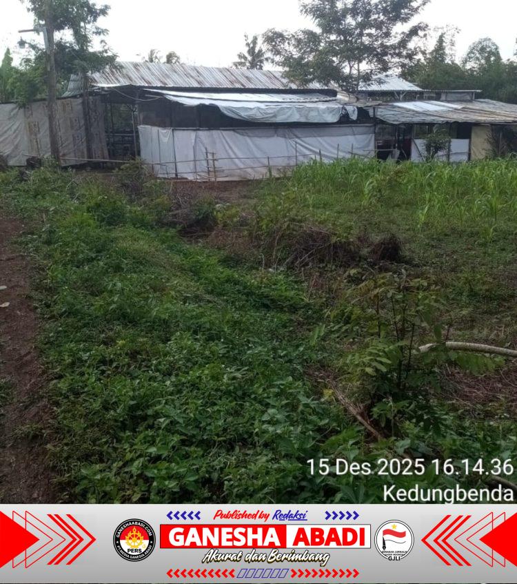 Viral !!! Diduga Oknum Aparat di Purbalingga Memfasilitasi Arena Judi Sabung Ayam,