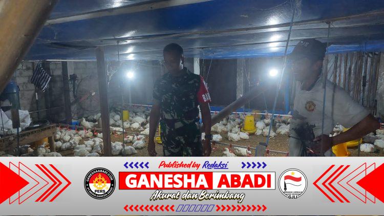 Babinsa Koramil Simo Dampingi Peternak Ayam Potong di Boyolali, Tekankan Kebersihan Kandang