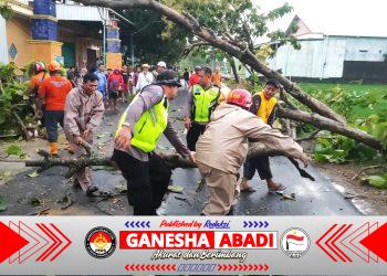 Bersama Pamapta, Kapolres Sragen Terjun Langsung Evakuasi Puluhan Pohon Tumbang di Masaran, Satu Mobil Rusak Tertimpa