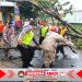Bersama Pamapta, Kapolres Sragen Terjun Langsung Evakuasi Puluhan Pohon Tumbang di Masaran, Satu Mobil Rusak Tertimpa