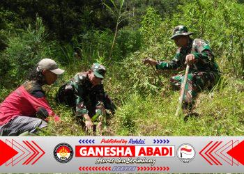 Danramil Selo Pimpin Penghijauan Lereng Merbabu, Tanam Pohon Demi Jaga Mata Air dan Cegah Longsor