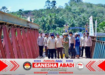 Presiden Prabowo Didampingi Wapang TNI Tinjau Jembatan Bailey dan Posko Kesehatan Pascabencana di Tapanuli Selatan