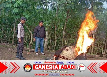 Polres Malang Tertibkan Sarana Judi Sabung Ayam di Kalipare, Respons Cepat Aduan Warga