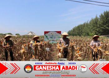 Polres Kendal Kawal Panen Raya Jagung Serentak Kuartal IV 2025 di Desa Jungsemi