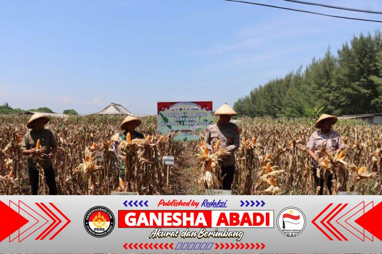Polres Kendal Kawal Panen Raya Jagung Serentak Kuartal IV 2025 di Desa Jungsemi