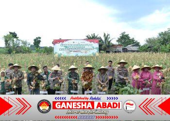 Polres Gresik Dukung Ketahanan Pangan Nasional, Gelar Panen Jagung Serentak Kuartal I 2026