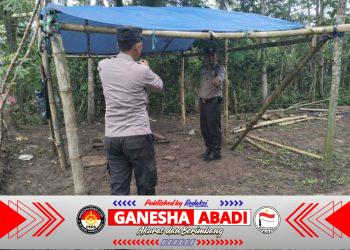 Polres Malang Tindaklanjuti Laporan Dugaan Judi di Kalipare, Sarana Sabung Ayam Dibongkar