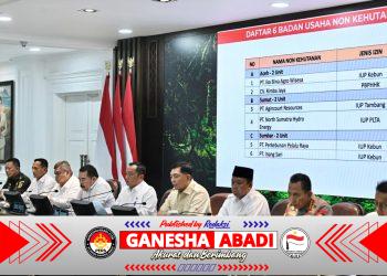 TNI Dukung Penertiban Kawasan Hutan, Presiden Cabut Izin 28 Perusahaan