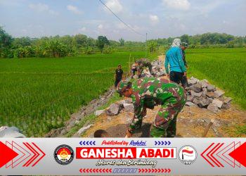 Babinsa Koramil Kalijambe Bersama Warga Bangun Jalan Pertanian di Desa Banaran