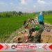 Babinsa Koramil Kalijambe Bersama Warga Bangun Jalan Pertanian di Desa Banaran