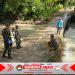 Babinsa Gesi Cek Jembatan, Antisipasi Kerawanan Musim Hujan