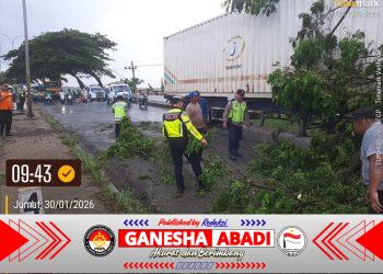 Truk Tronton Tersangkut Pohon di JLS Penambuhan, Polisi Bergerak Cepat Amankan Lalu Lintas