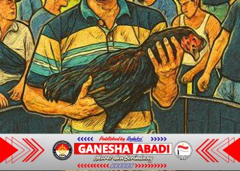 Diduga Kebal Hukum, Judi Dadu dan Sabung Ayam di Binjai Barat Beroperasi Terang-terangan, Warga Desak Aparat Bertindak Tegas