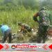 Babinsa Gesi Bersama Warga Bangun Talud Jalan Desa Srawung, Cegah Longsor dan Tingkatkan Keselamatan