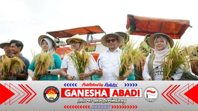 Produktivitas Padi Naik Dua Kali Lipat, DPR RI Puji Program Panen Raya di Pati