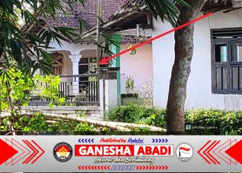 Diduga Tutup Mata dan Bungkam Terhadap Maraknya Penjualan ‘Pil Koplo’ di Desa Randuagung-Lumajang