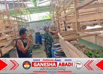 Babinsa Cari Ilmu ke Peternak, Pelajari Cara Memilih Bibit Kambing Unggul