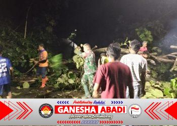 Pohon Tumbang Tutup Jalan Simo–Klego,Babinsa dan Warga Bergerak Cepat Selamatkan Akses