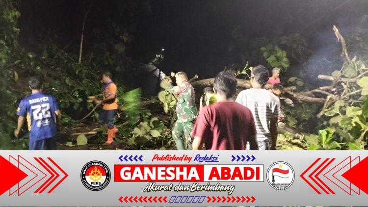 Pohon Tumbang Tutup Jalan Simo–Klego,Babinsa dan Warga Bergerak Cepat Selamatkan Akses