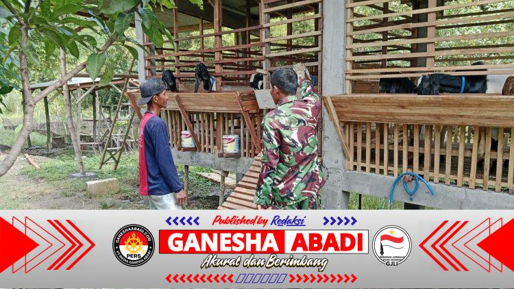 Babinsa Balongpanggang Laksanakan Komsos dan Pendampingan Peternak Kambing di Kedungpring